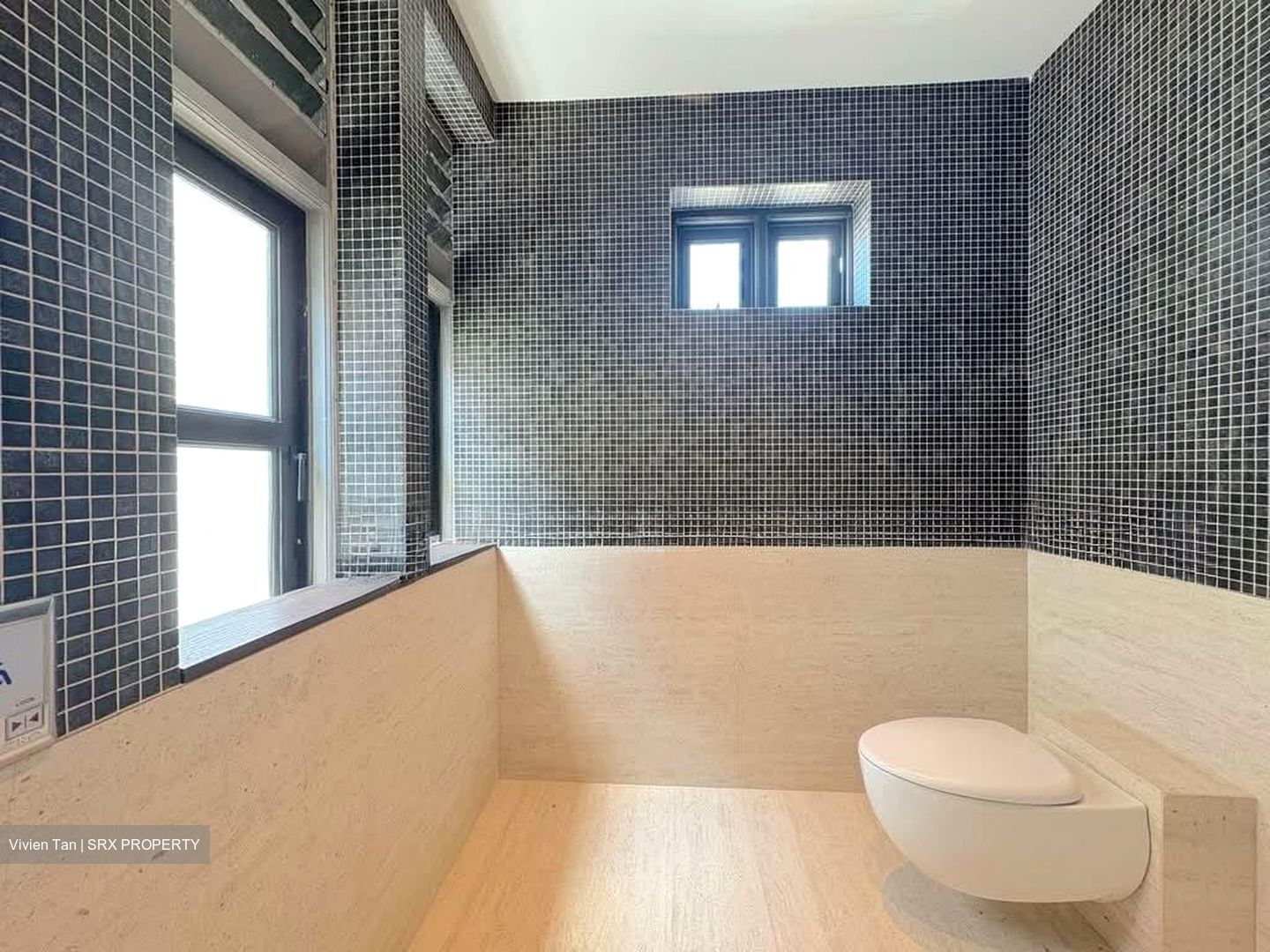 Keong Saik Road (D2), Shop House #540267111
